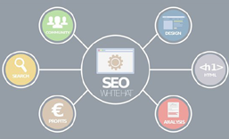 龙华网站SEO 优化  推广